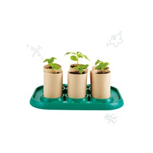 Serre pour apprentis jardiniers