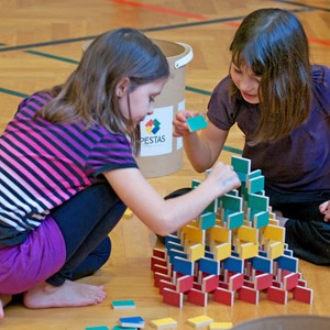 Pestas boîte à astuce