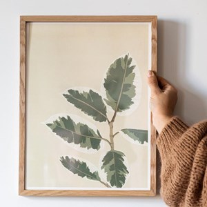 Affiche ficus el tineke