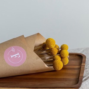 Botte craspedias jaunes