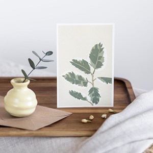 Carte ficus el tineke