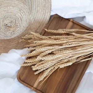 Botte blé séché naturel