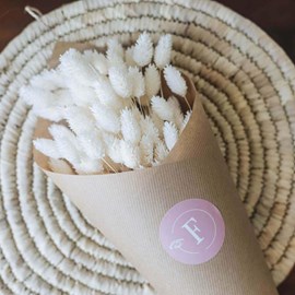 Botte phalaris blanc