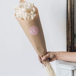 Botte phalaris blanc