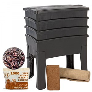 Worm café 3 plateaux + 500g de vers