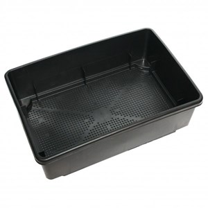 Worm café 2 plateaux + 250g de vers