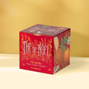 Thé noir de noël orange cannelle gingembre bio*