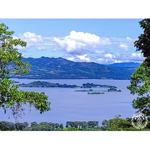 Hamac chaise jinotega xl vert
