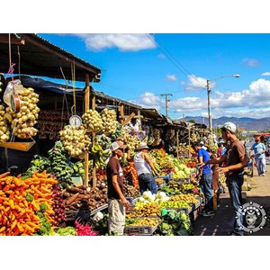 Hamac chaise sébaco xl blanc