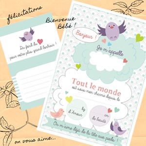 Cadeau naissance moufles anti-griffures