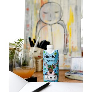 Thés glacés bio hydratantes 33cl x12