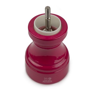 Bistro moulin à sel manuel en bois