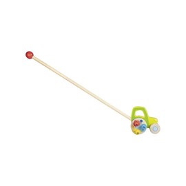 Jouet à pousser en bois dès 18 mois