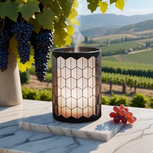 Diffuseur ultrason + télécommande verone