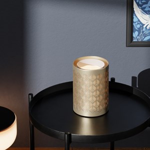 Diffuseur ultrason + télécommande vienne
