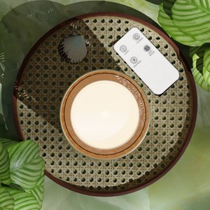 Diffuseur ultrason + télécommande vienne