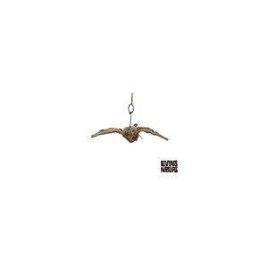 Peluche chauve-souris 24 cm