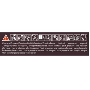 Bougie parfumée 180g légendes d'orient