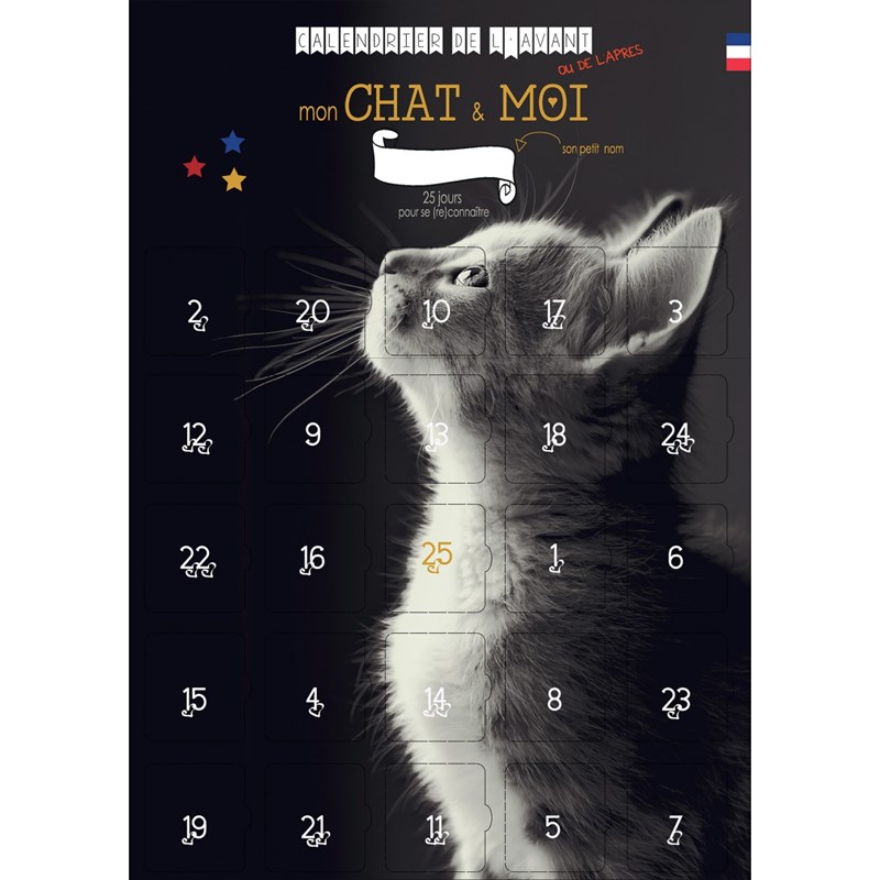 Calendrier mon chat et moi 25 jours
