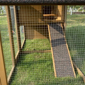 Poulailler en bois 3 poules minnesota