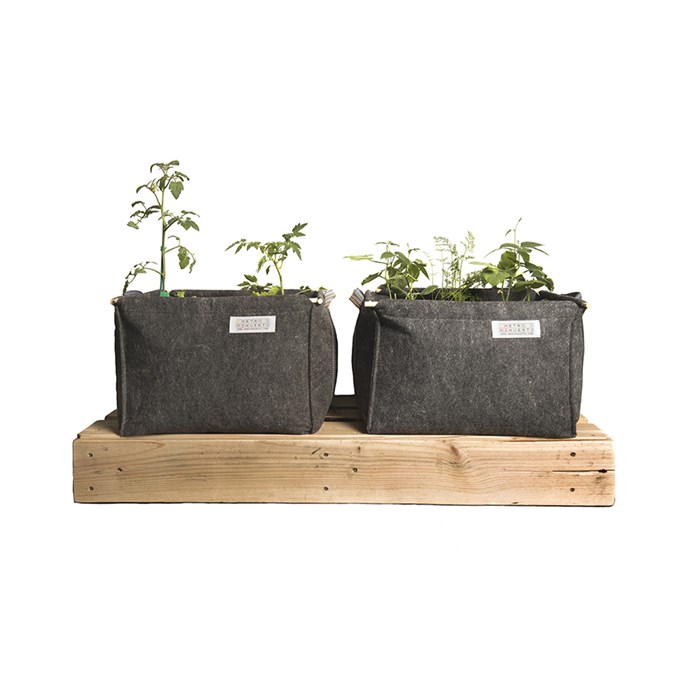 Root pouch textile flower pot 30l, 150g / m2, 18-24 months, 35x30 cm - LIDSBRON