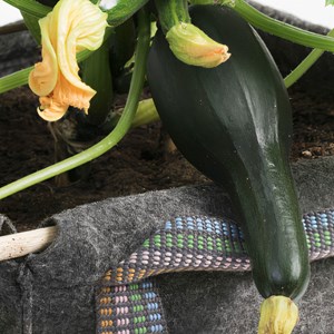 Jardinière bac géotextile 30x30x30 cm