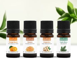 Diffusion senteurs d'automne - huiles essentielles bio -