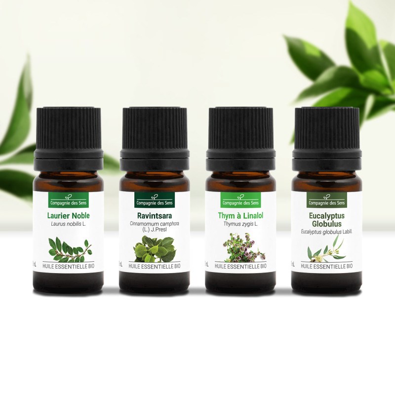 Diffusion hivernale - huiles essentielles bio -