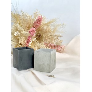 Kit marguerite - jardinières diy