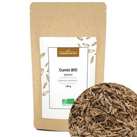 Cumin bio - 100g - graines entières