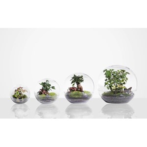 Terrarium forest moon large