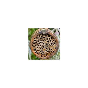 Abri pour abeilles pollinisatrices - ton