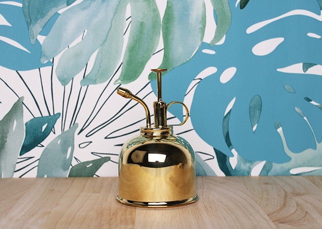 Vaporisateur doré pour plantes