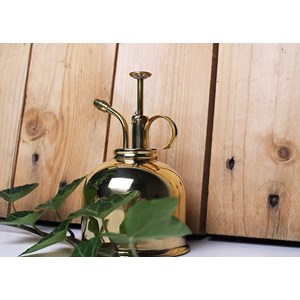 Vaporisateur doré pour plantes