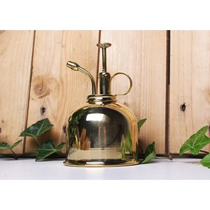 Vaporisateur doré pour plantes