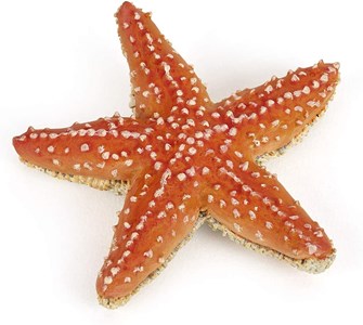 Figurine etoile de mer