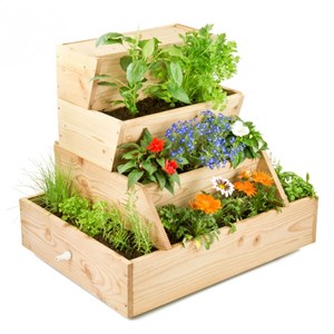 Lombricomposteur 800 en bois et lombrics