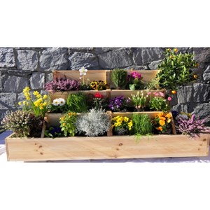 Lombricomposteur 1600 en bois + lombrics