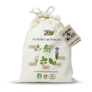 Kit de graines bio - les plantes aromatiques