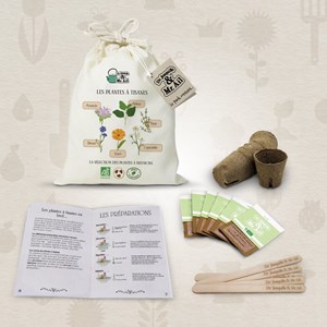 Kit les plantes à tisanes
