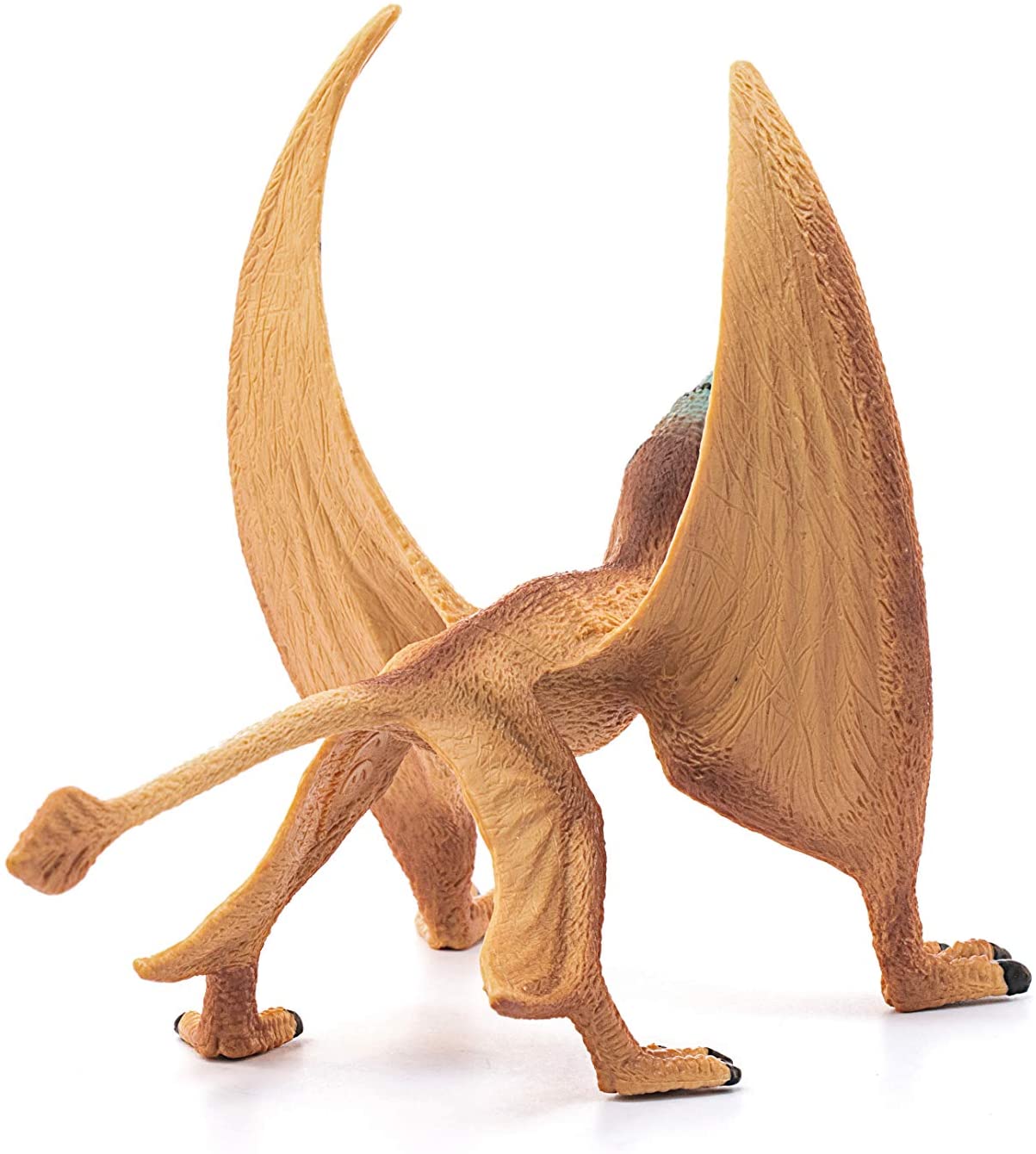 Jouet Dinosaure Dimorphodon Volant
