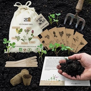 Kit de graines bio - les engrais vert