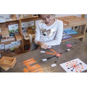 Mamontessoribox fonctions grammaticales