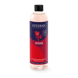 Recharge bouquet 250ml rouge cassis