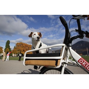 Vélo VAE cargo compact familéö l 3v