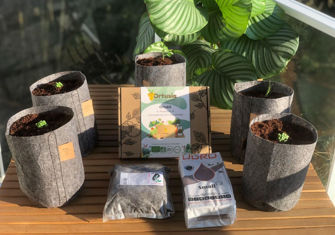 Packs et kits de graines d'aromates à semer