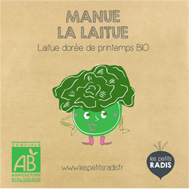 Mini kit de graines bio de laitue