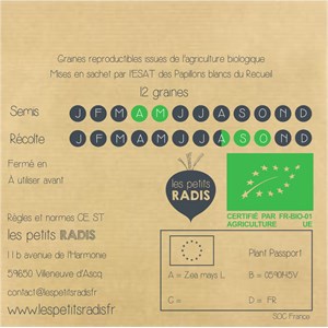 Mini kit de graines bio de maïs noir