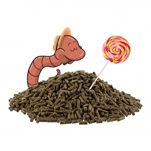 Wormfood 1kg, aliment protéiné pour vers
