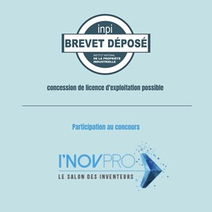 Bouillotte sèche lavable lombaire